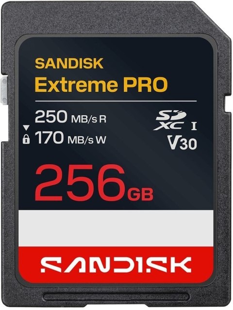 Karta pamięci SANDISK 256 GB
