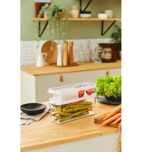 Rotho CAUMA Organizer do lodówki 1,15L