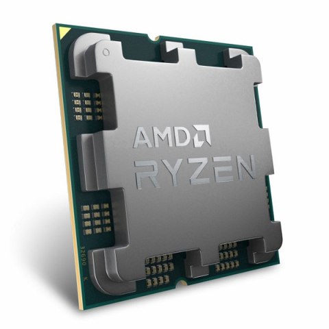 Procesor AMD Ryzen 5 8400F TRAY 100-000001591