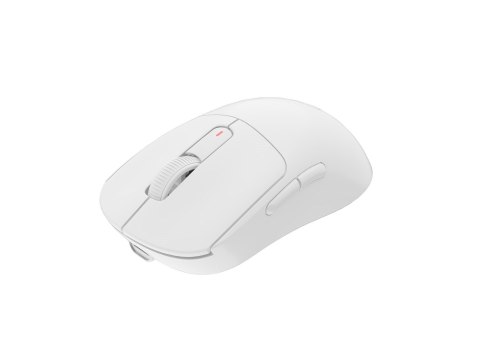 Mysz dla graczy Fury Tanto T4 12000DPI RGB biała gamingowa bezprzewodowa