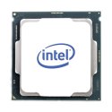 Procesor INTEL XEON E-2324G (3.1 GHz /8 MB /Socket LGA1200 )