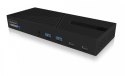 IcyBox Stacja dokująca IB-DK2246-C 11in1,HDMI,DP,LAN,TYPE-C